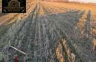 Teren agricol de 600 mp, în Vidra - 1