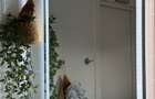 Studio premium complet mobilat | Forest Tunari | Parcare | Balcon | - 20