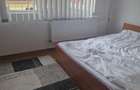 Inchiriez apartament 2 camere Brazda lui Novac - 1