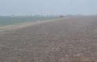 Vanzare Teren intravilan 5000mp Magurele - 8