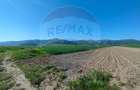 Panorama deasupra lumii Teren de poveste Gura Raului, zona Peste Grui - 3