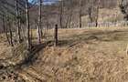 Teren extravilan de 5384 mp, în Nehoiu - 2