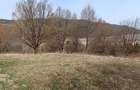 Teren Darmanesti, zona lac Valea Uzului, 3200 mp - 2