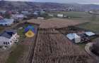 Casă + teren 2335 mp de vânzare – comuna Bodesti - 3