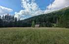 Teren intravilan 9.172 m2 + cabana 30m2 Loc Pintic Paltinu Com. Grinties - 8