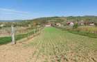 Teren 5,70 ha intravilan+extravilan, Vladimir-Andreesti , Jud.Gorj - 5