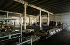 Imobil industrial, logistic si administrativ de vanzare – Giurgiu - 7