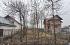 Teren de 678 mp, în Tămășeni - 1