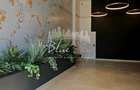 Apartament cu 2 camere decomandat în Faleza Nord - 9