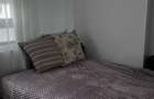 Apartament cu 3 camere decomandat în Colentina - 9