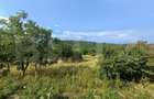 Teren intravilan, de vanzare, 1252 mp, zona Arghires - 1