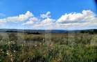 Teren intravilan de 5800 mp, în Central - 8
