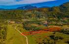 Teren agricol de 4253 mp, în Glăjărie - 5