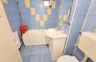 Apartament cu 3 camere decomandat în Narcisa - 9