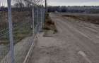 Teren constructii UAT Ovidiu - 3