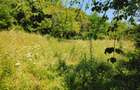 De vanzare teren intravilan 2.500 mp ,15euro/ mp,sat Ulmetel, Rm.VL - 8