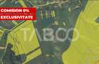 Teren extravilan 2900 mp pretabil pentru investitie zona Lov - 1