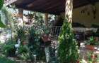 Vand 2 case + 2 spa?ii comerciale - 9