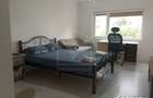 Apartament cu 2 camere decomandat în Zorilor - 6