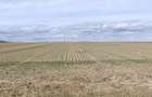 Teren de vanzare in Adancata zona ,,La Canton,,spre Hantesti ,, - 4