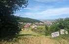Teren intravilan Floresti str.Narciselor 1380 mp - 3