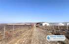 Antony Estate | Oportunitate de investitie, Ferma Padurea Galbena - Cehal, Marghita - 10