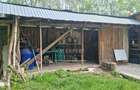 Casa 3 Camere, Teren 6200 Mp + 2 Lacuri, Campulung, Namaiesti - 20