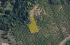 Teren intravilan 2900 mp ~ Campina ~ Prahova - 1