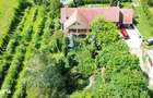 Proprietate Premium Cu 4.534 Mp Teren- Reghin Strada Pometului - 16