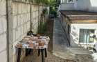 Apartament 2 camere Pacii loc de parcare si gradina la demisol - 5