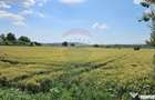 Teren 15,000mp Salcea-Prelipca, Suceava - Prelipca (Suceava)