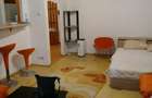 Garsonieră decomandată, mobilată în Tineretului - 9