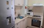 Apartament cu 2 camere decomandat în Bună Ziua - 10