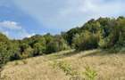 Terenuri fanea?a langa padure Voine?ti Pietrari Vulcana 1 mp - 2