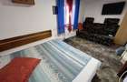 Hotel/Pensiune, de 115.45500183106 mp, în Ciocanu - 12