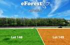 Loturi de casă 720 - 900 mp, langă Pădure în eForest, acces asfaltat - 8