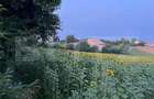 Teren de vanzare, intravilan, 20 ari, Moara Nica