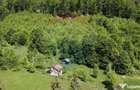 Comision 0%! Proprietate in natura, priveliste superba, S... - 8