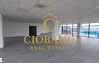 Hale industriale+Cladire de Birouri de inchiriat zona Aeroport - 16