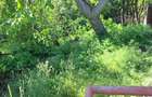Casa cu 2 camere, bucatarie, baie in zona Aquapark Nymphaea - 12