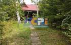 Casă cu Teren 2400 Mp în Bacău - 13