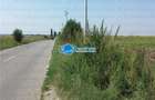 Teren Intravilan Herasti Giurgiu 2 HA - 5