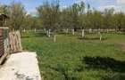 Vand casa in Com.Brestovat - 1