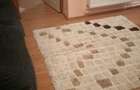 Apartament de vanzare com. Oarja,jud. Arges - 5