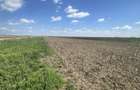 Teren agricol Slobozia Moara 8544 mp acces la drum asfaltat si la 1 km de DN7 - 3