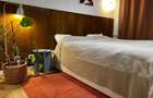 Apartament 2 camere de inchiriat zona Banu Manta Kiseleff - 6