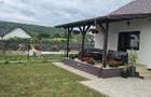 Proprietar, vand casa in Hemeius, langa Parcul dendrologic - 5
