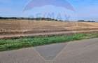 Teren agricol extravilan de 21177 mp, în Santăul Mic - 3 Teren agricol extravilan de 21177 mp, în Santăul Mic - 3
