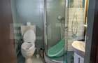 Casa renovabila, 2 camere, zona Cetate - 12