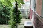 CASA NAIPU GIURGIU- Str. Soseaua Bucuresti - Alexandria nr. 73 - 3